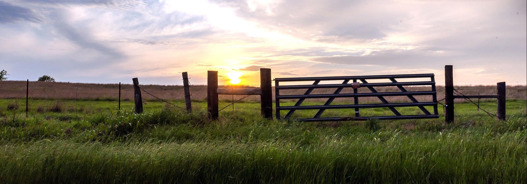 Farm and Ranch Loans in Texas